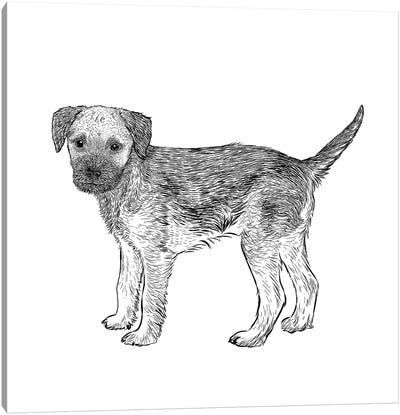 Border Terrier Canvas Art Print - Border Terriers