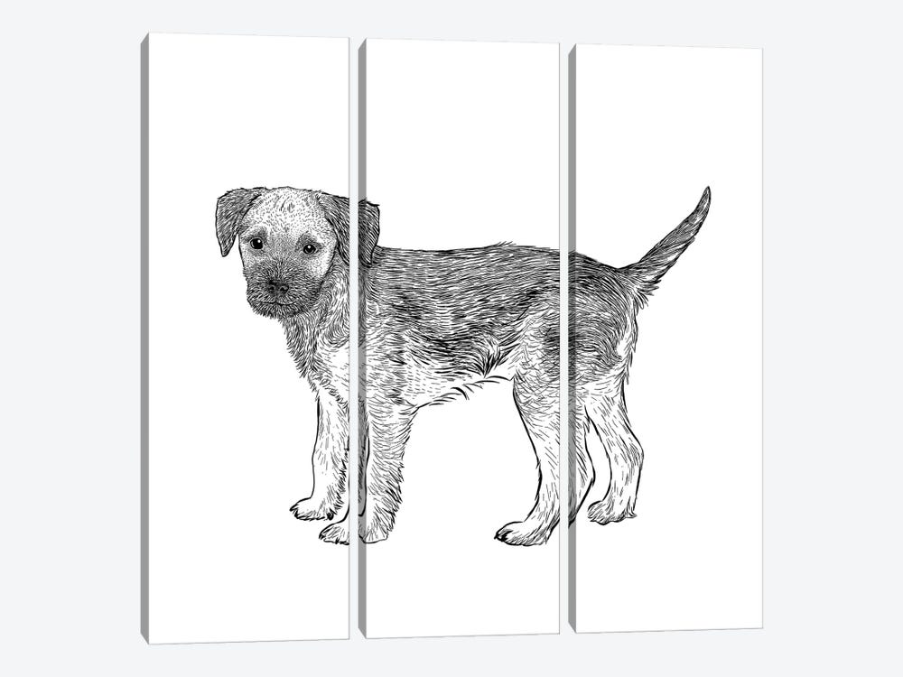 Border Terrier by Vicki Hunt 3-piece Art Print