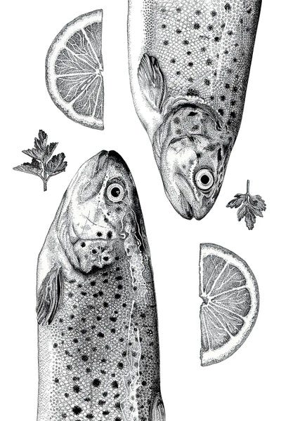 Vicki Hunt: Brown Trout by Vicki Hunt