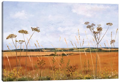 Across Golden Fields To Old Winchester Hill Canvas Art Print - Self-Taught Women Artists