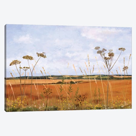 Across Golden Fields To Old Winchester Hill Canvas Print #VHN2} by Vicki Hunt Canvas Wall Art