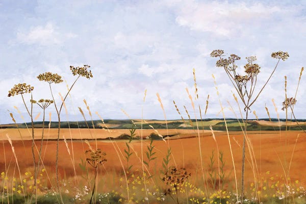 Dandelions: Across Golden Fields To Old Winchester Hill by Vicki Hunt