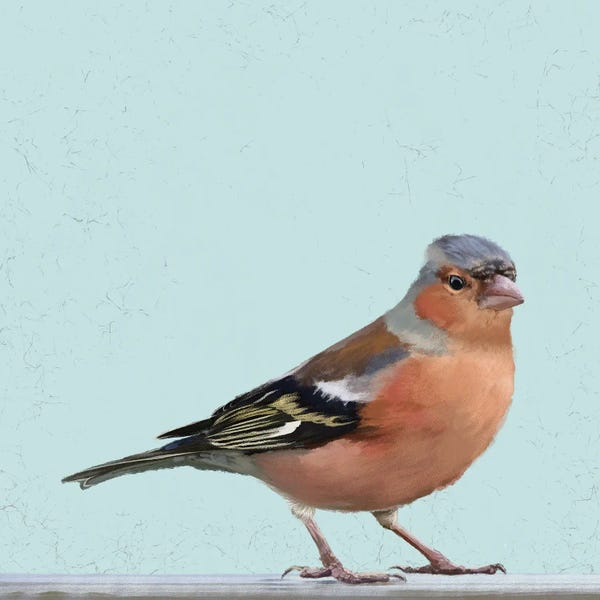 Vicki Hunt: Chaffinch by Vicki Hunt