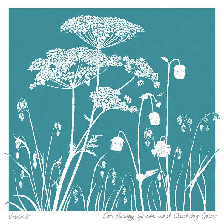 Cow Parsley, Geum And Quaking Grass