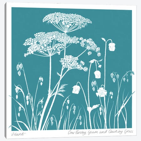 Cow Parsley, Geum And Quaking Grass Canvas Print #VHN32} by Vicki Hunt Canvas Art Print