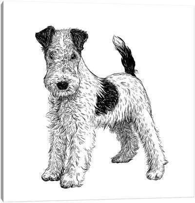 Fox Terrier Canvas Art Print - Vicki Hunt