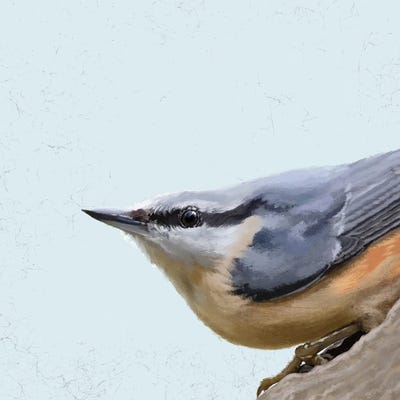Nuthatch by Vicki Hunt multi panel art