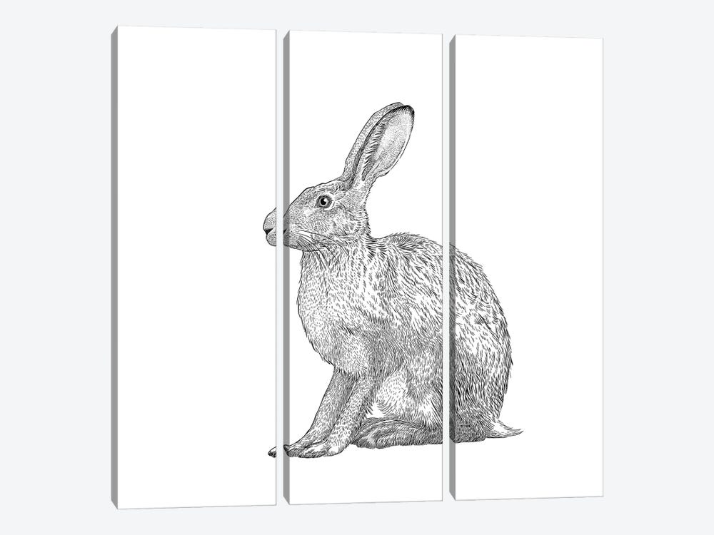 Hare by Vicki Hunt 3-piece Canvas Print