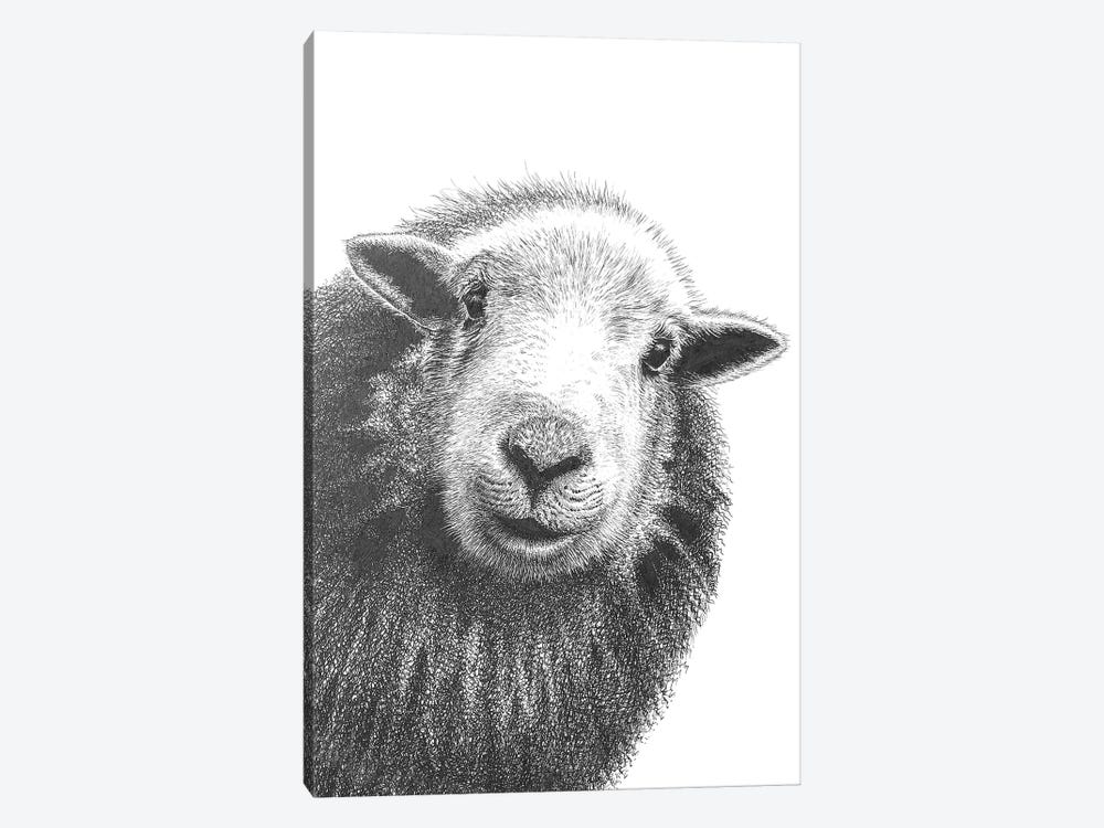 Herdwick Sheep II by Vicki Hunt 1-piece Art Print