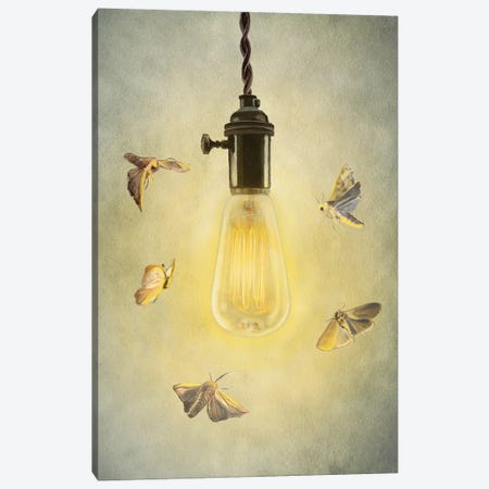 Moths Around Edison Lightbulb Canvas Print #VHN50} by Vicki Hunt Art Print