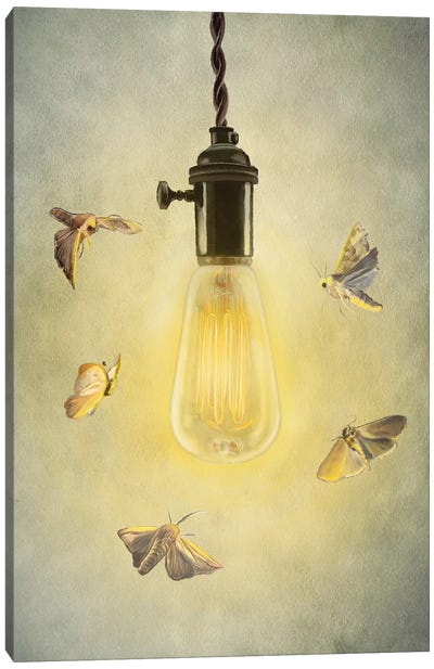 Moths Around Edison Lightbulb Canvas Art Print