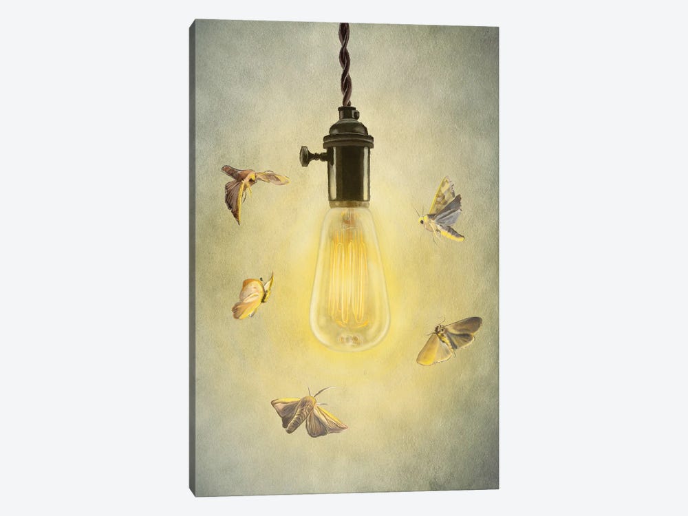 Moths Around Edison Lightbulb 1-piece Canvas Artwork