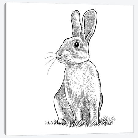 Rabbit Canvas Print #VHN58} by Vicki Hunt Canvas Art Print