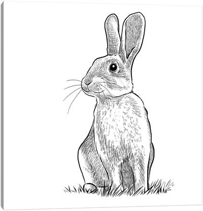 Rabbit Canvas Art Print - Vicki Hunt