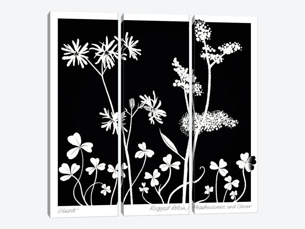 Ragged Robin, Meadowsweet And Clover by Vicki Hunt 3-piece Canvas Art Print