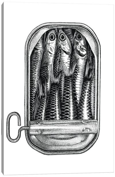 Sardines Ink Canvas Art Print - Seafood Art