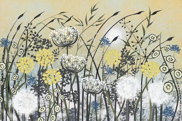 Dandelions: Seed Heads In Yellow by Vicki Hunt