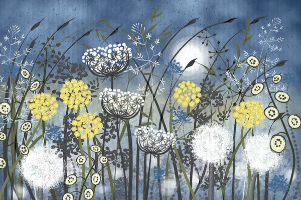 Dandelions: Seedheads In Dark Blue by Vicki Hunt