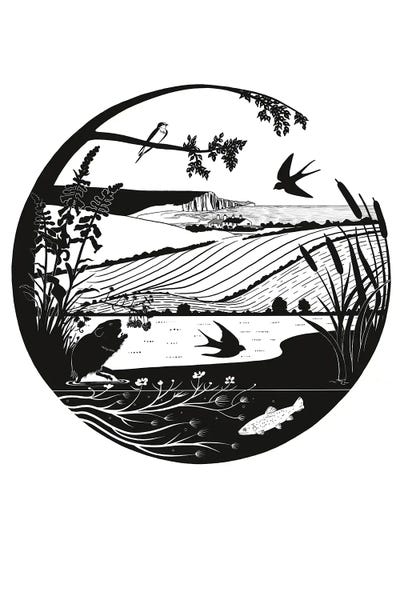 Martins & Swallows: South Downs Silhouette by Vicki Hunt