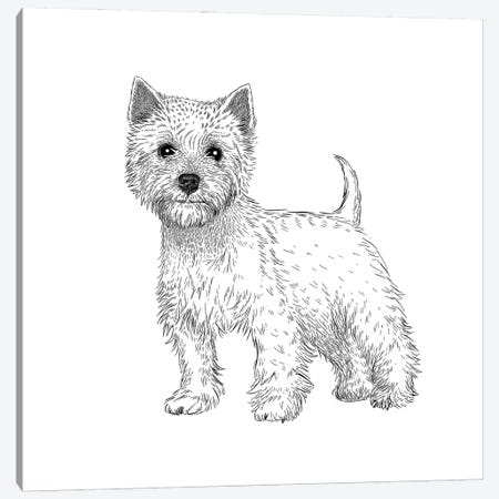 West Highland Terrier Canvas Print #VHN73} by Vicki Hunt Canvas Print