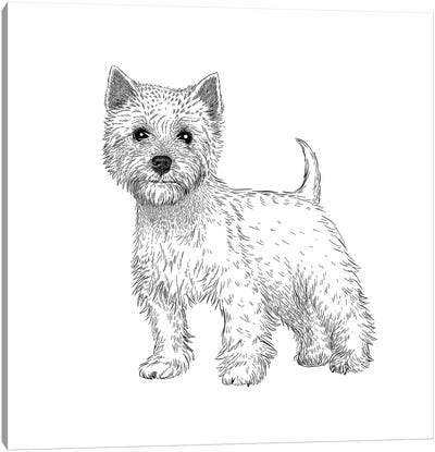 West Highland Terrier Canvas Art Print - Vicki Hunt