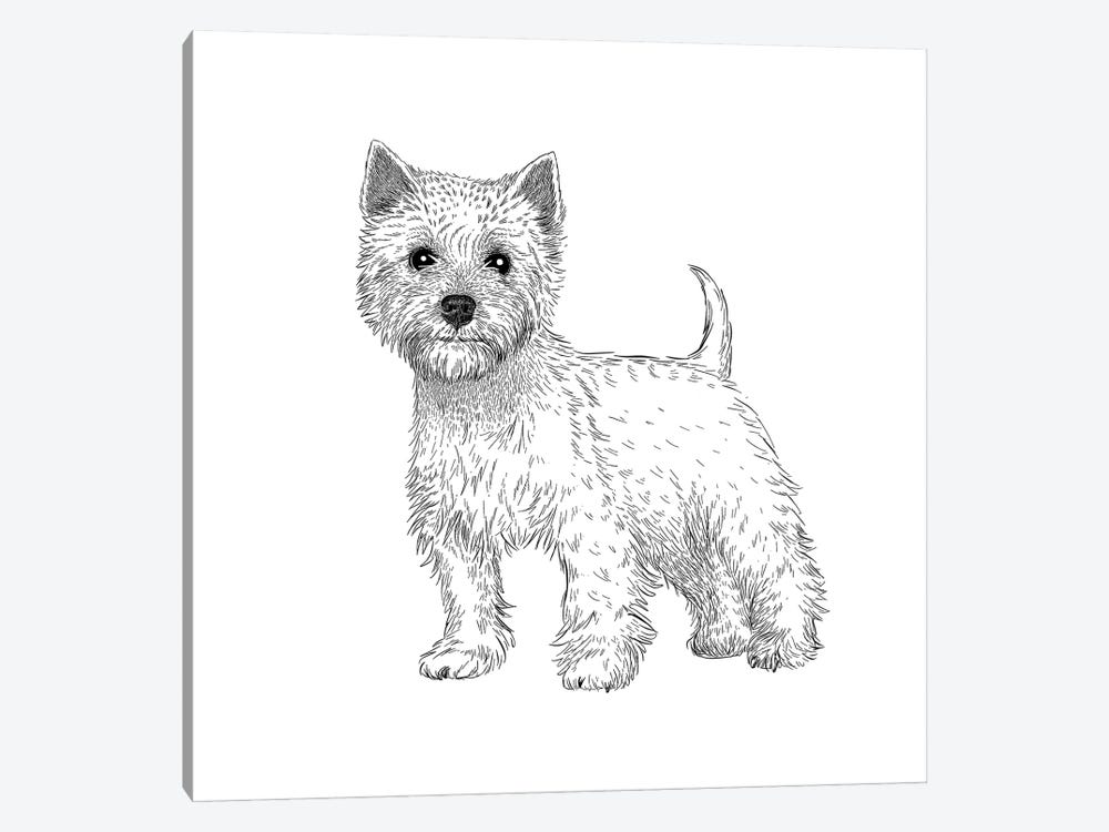 West Highland Terrier by Vicki Hunt 1-piece Canvas Print
