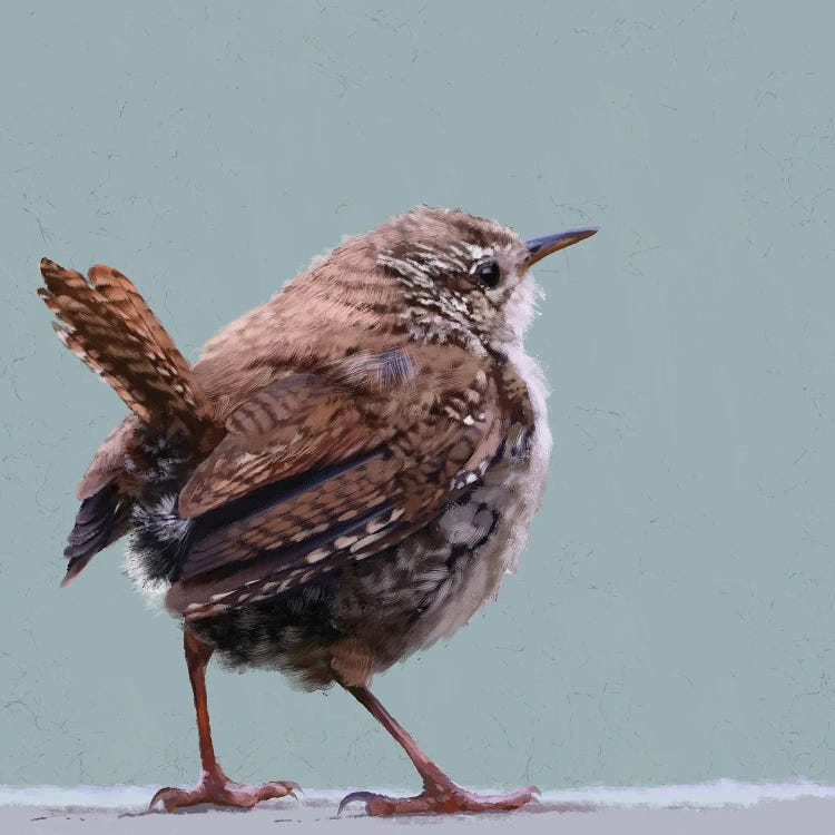 Wren by Vicki Hunt wall art