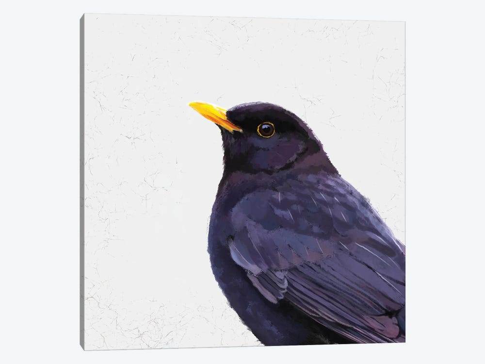 Blackbird by Vicki Hunt 1-piece Art Print