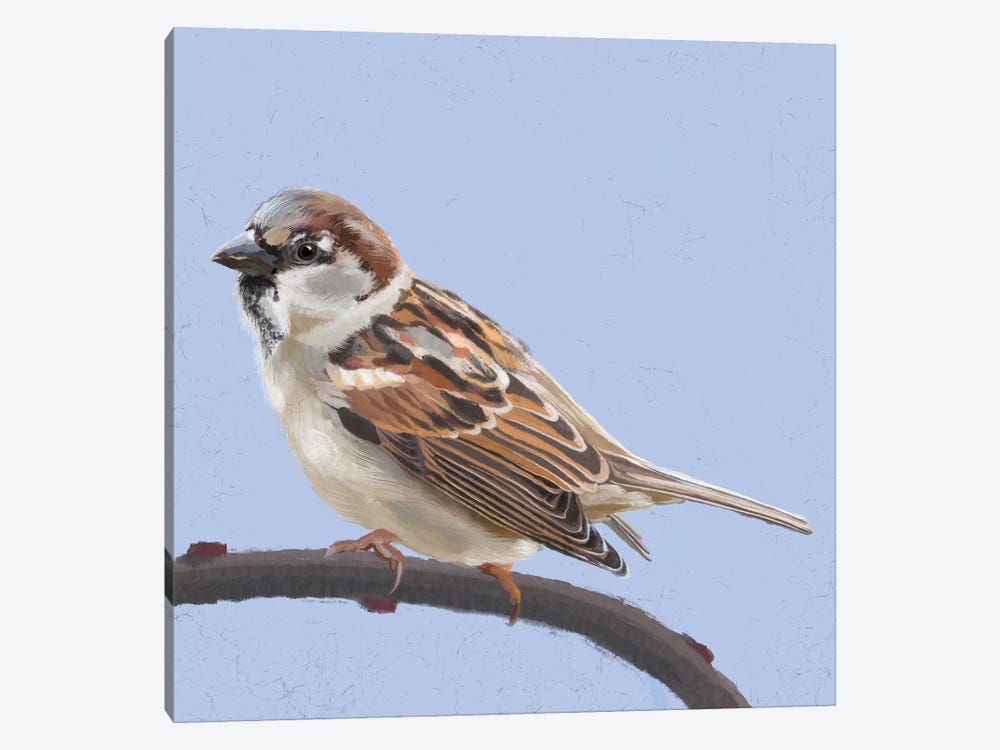 Sparrow by Vicki Hunt 1-piece Canvas Art