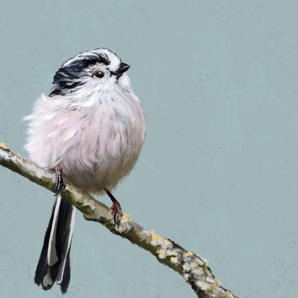 Vicki Hunt: Long-Tailed Tit by Vicki Hunt