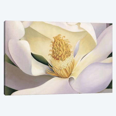 Magnolia Canvas Print #VHU10} by Virginia Huntington Canvas Artwork
