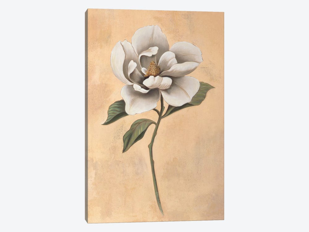 Magnolia by Virginia Huntington 1-piece Art Print