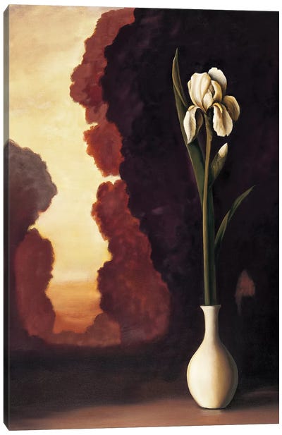Floral Sunrise II Canvas Art Print