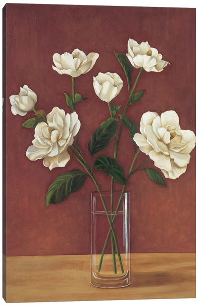 Fleurs de Magnolia Canvas Art Print
