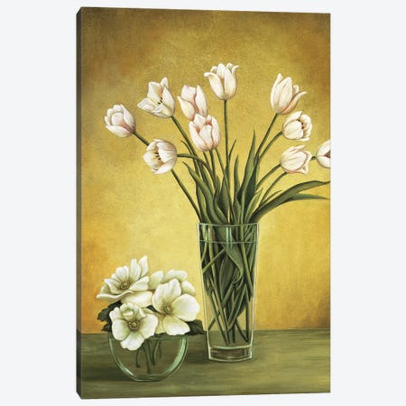 Tulipes blanches Canvas Print #VHU6} by Virginia Huntington Canvas Print