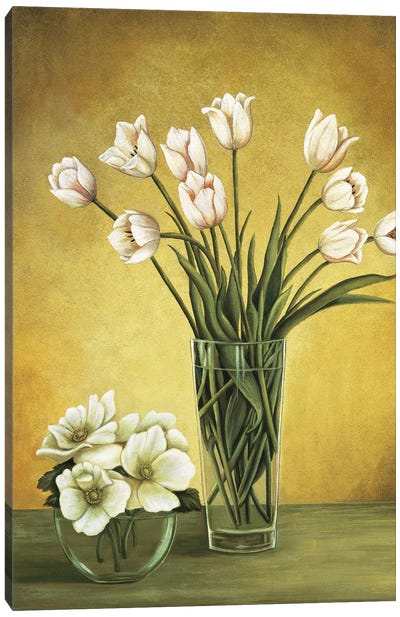 Tulipes blanches Canvas Art Print