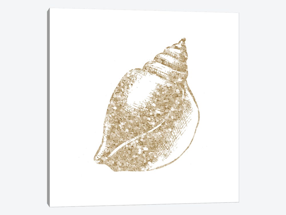 Coastal Studded Shell I by Victoria Brown 1-piece Canvas Art Print