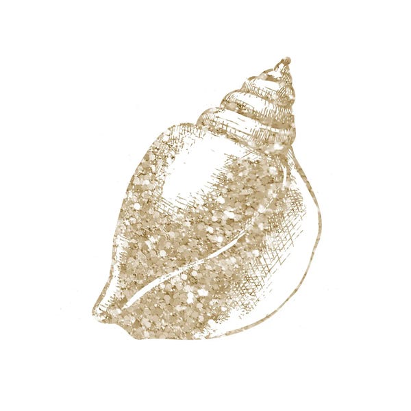 Victoria Brown: Coastal Studded Shell I by Victoria Brown
