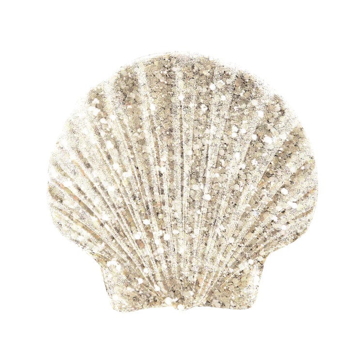 Coastal Studded Shell II