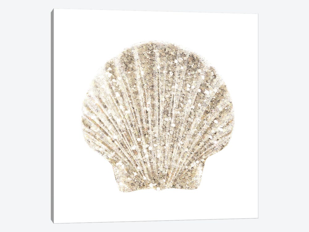 Coastal Studded Shell II by Victoria Brown 1-piece Canvas Artwork