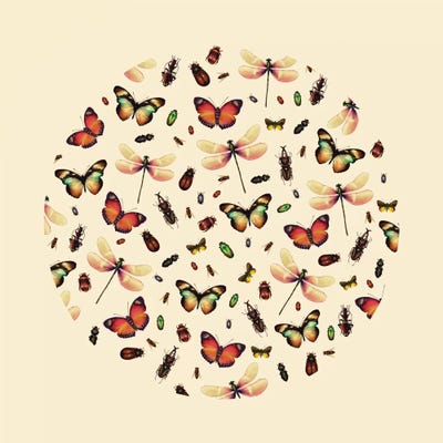 Insecta by Víctor Vercesi art print