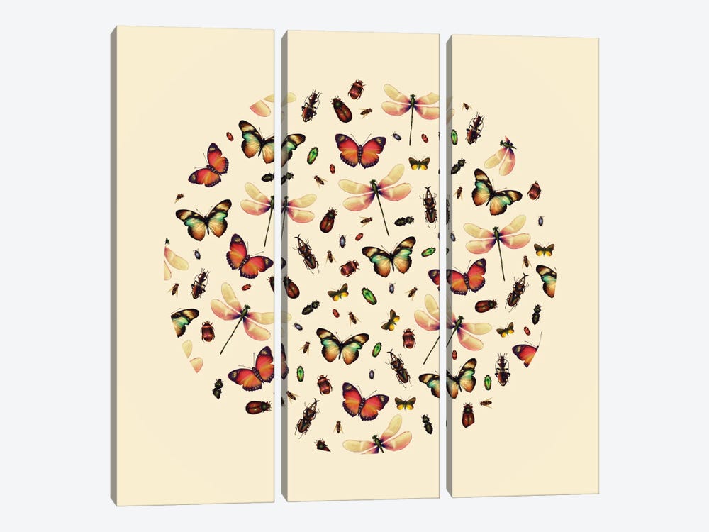 Insecta by Victor Vercesi 3-piece Canvas Wall Art