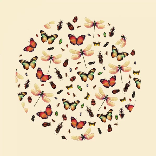 Victor Vercesi: Insecta by Victor Vercesi