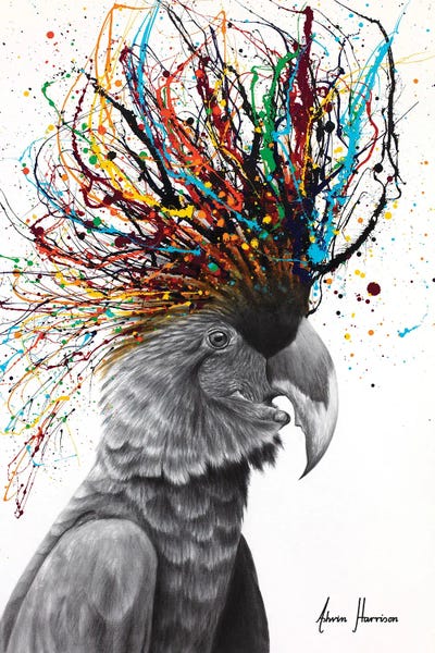 Parrots: Party Animal by Ashvin Harrison