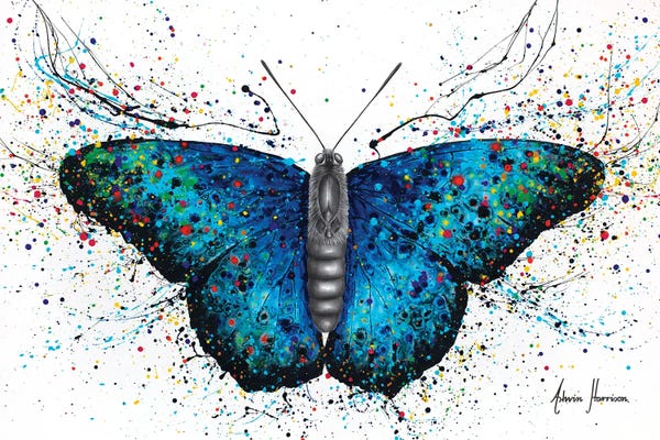 Butterflies: Sparkling City Butterfly by Ashvin Harrison