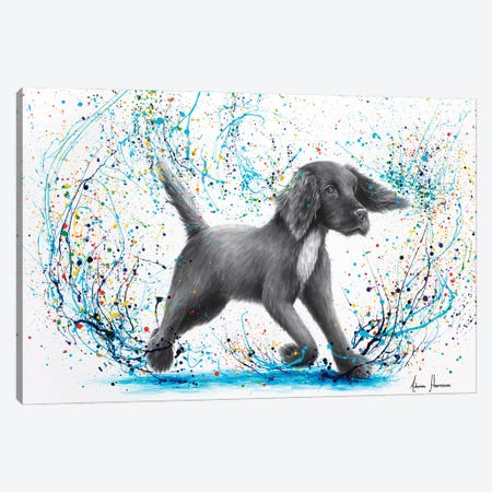 Spaniel Splash Canvas Print #VIN1037} by Ashvin Harrison Art Print