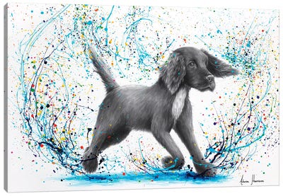 Spaniel Splash Canvas Art Print - Ashvin Harrison