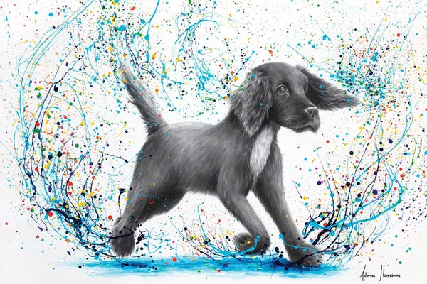 English Springer Spaniels: Spaniel Splash by Ashvin Harrison
