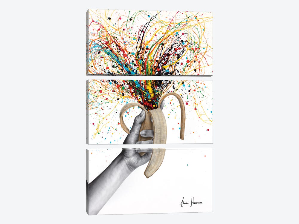 Peel And Reveal by Ashvin Harrison 3-piece Canvas Art