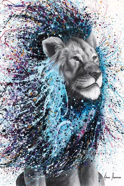 Lions: Dream Of A Lion by Ashvin Harrison